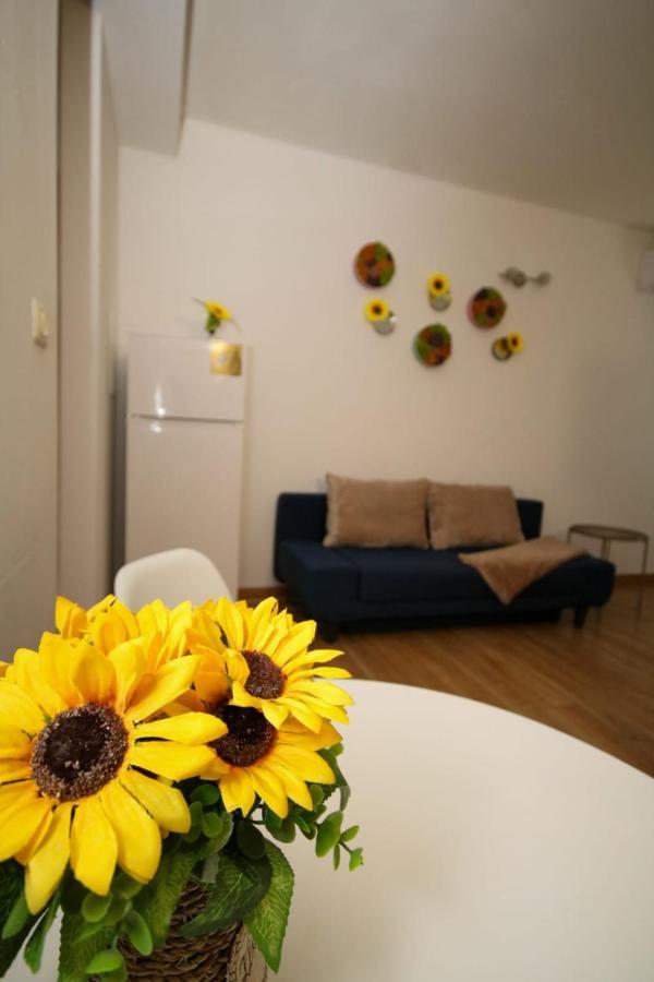 Sunrise Studio Timişoara Exterior foto